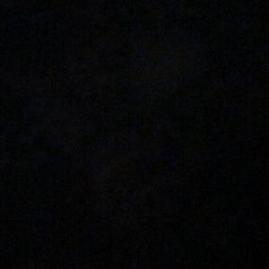 Meet your Posher, Chase